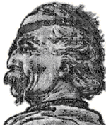 Fare clic per visualizzare la foto